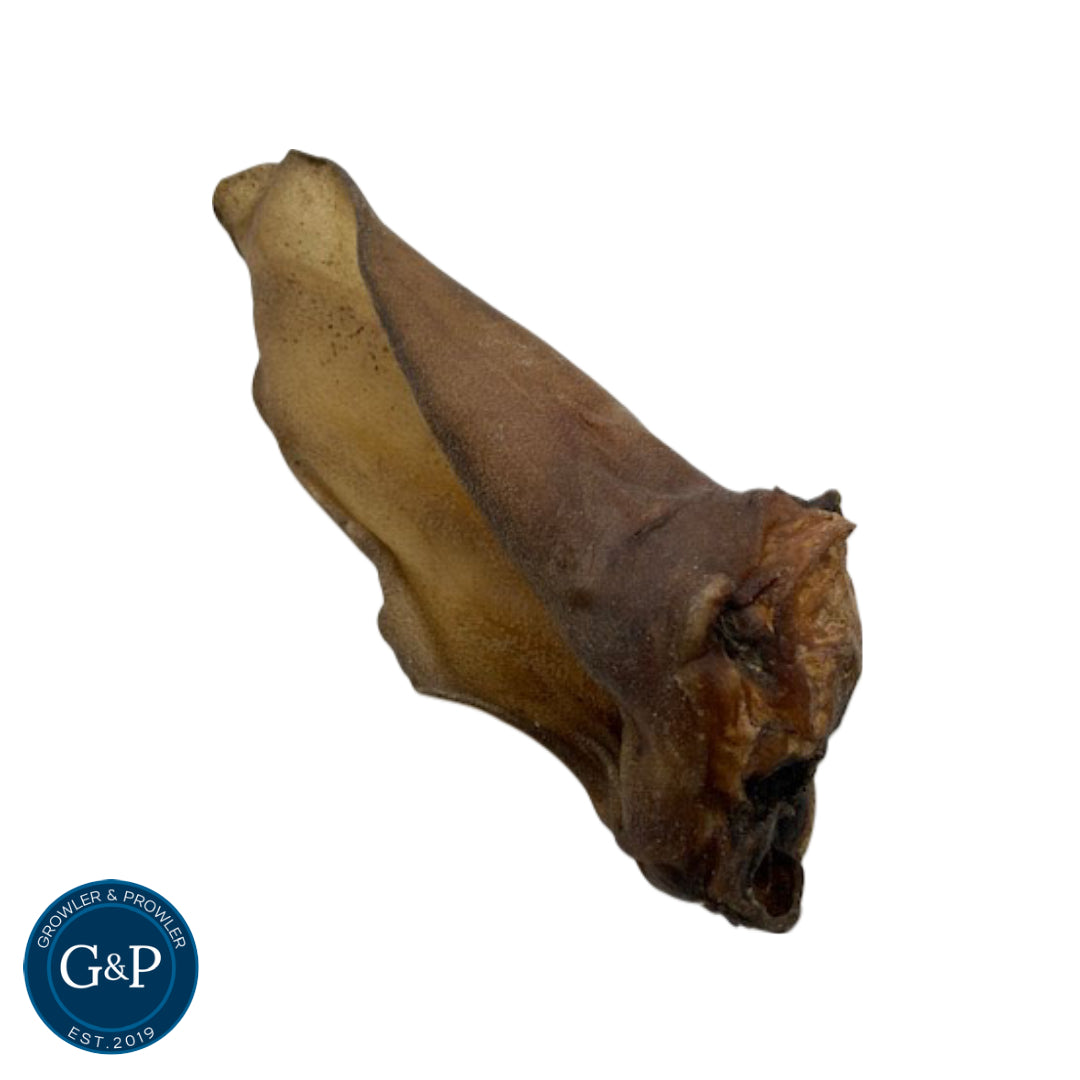 A large, single cow ear, perfect for dogs to chew and gnaw on. The ear is dark brown in colour and has a natural, chewy texture.